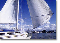 Forespar Line Control Whisker Pole 8'-14