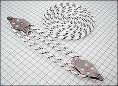 Boom Vang, 4.1, 900 Lb (410kg) SWL