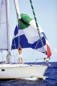 ATN  Spinnaker Sleeve Size A up to 55 Feet sold by the foot