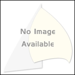 Swivel Block on 1 inch-12 Stainless Plug